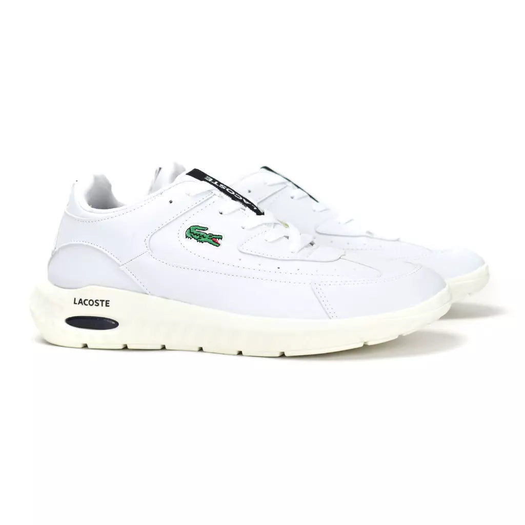 Musk Bolha Lt–Premium