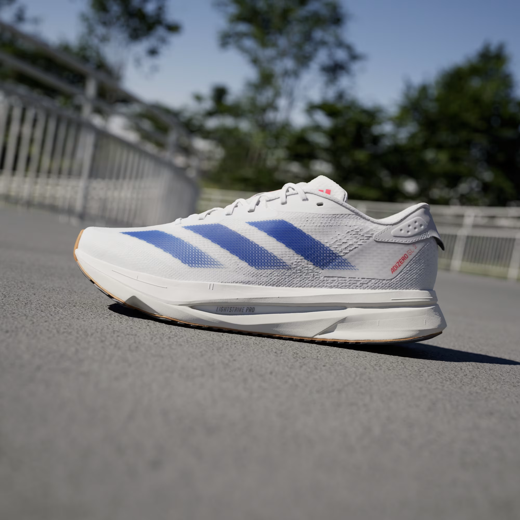 CORRIDA ADIZERO SL2 WHITE BLUE–Exclusivo