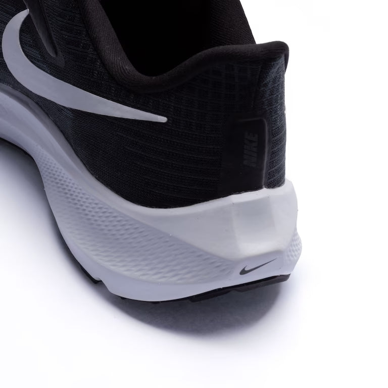 Zoom Pegasus -–Clássico